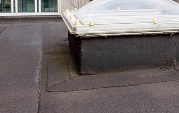 disadvantages of Druimarbin flat roofs