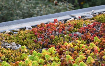 the cost of Druimarbin green roof installation
