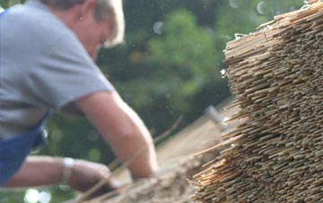 professional Druimarbin thatchers